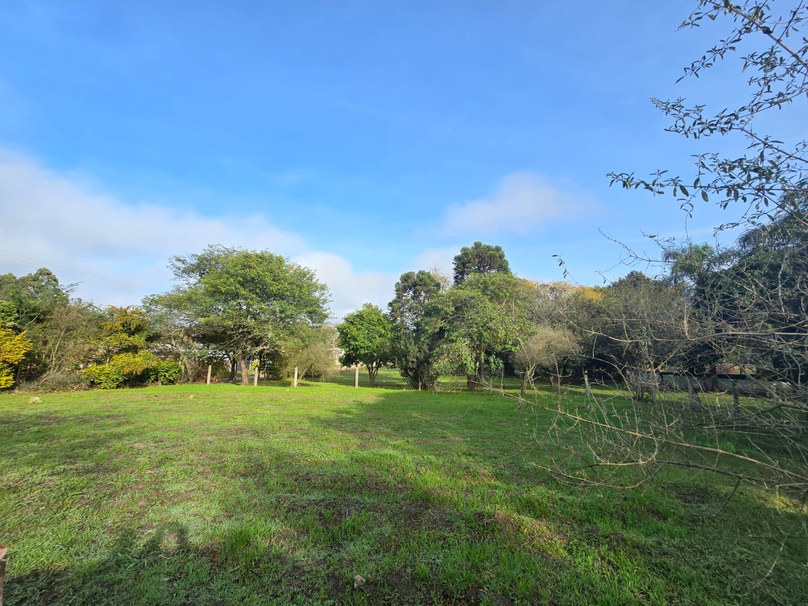 Sitio na Restinga com 2 casas e ótima oportunidade para investimento — foto 1