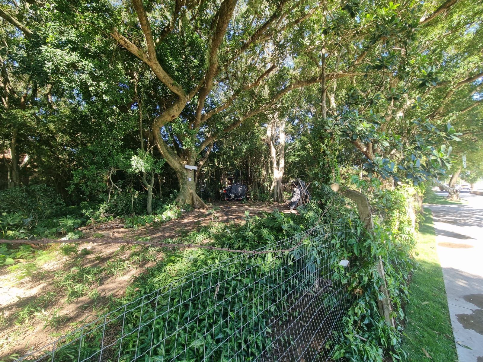 Terreno na Beira de Ipanema com 972m² — foto 8