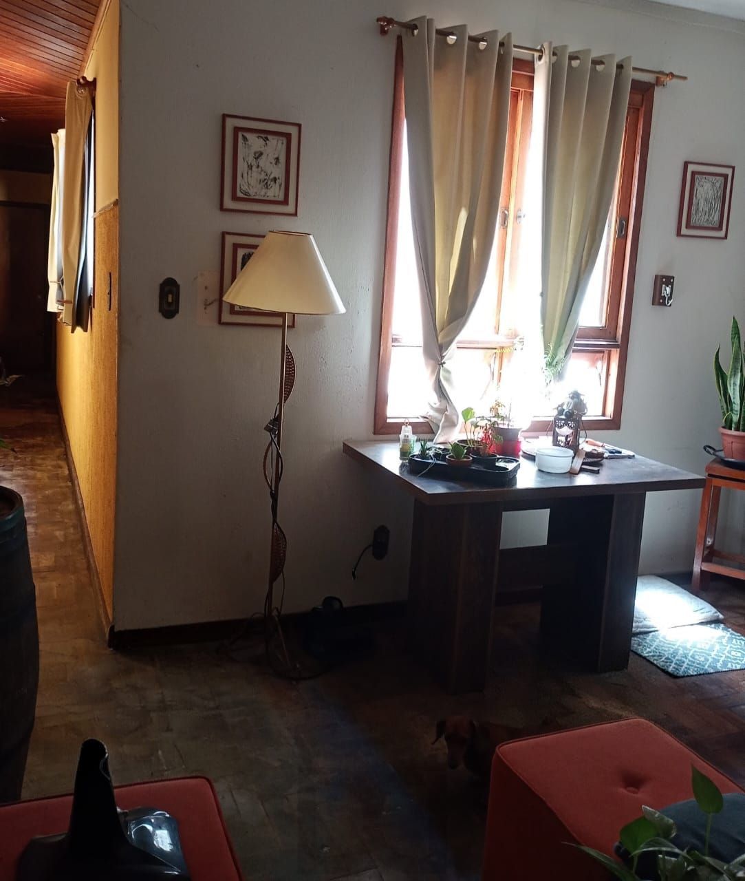 APARTAMENTO 2 DORMITÓRIOS - HIGIENÓPOLIS - PORTO ALEGRE - RS — foto 5