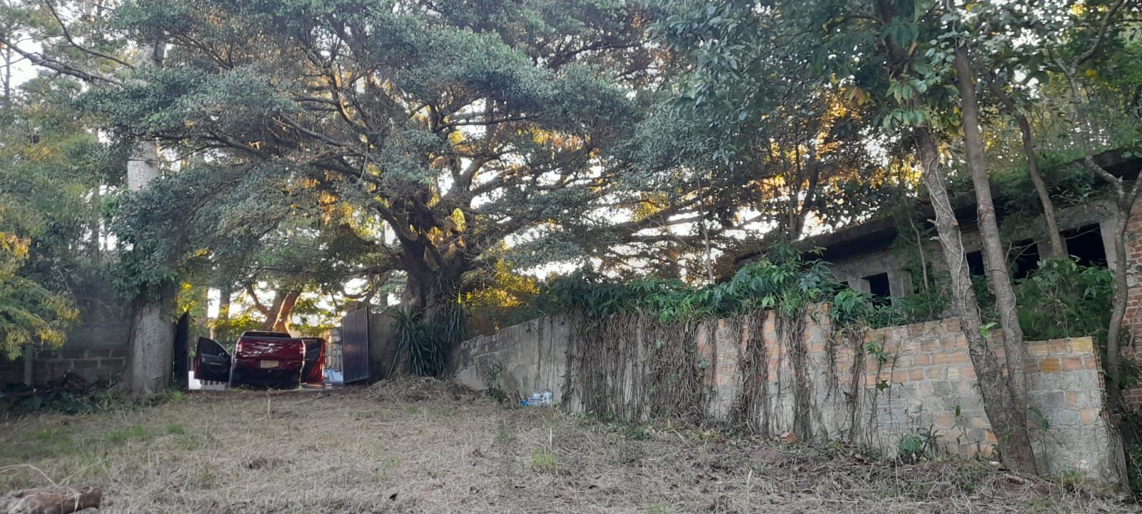Terreno de barbada — foto 12
