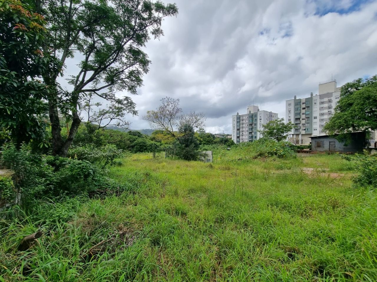 Terreno para Venda - 3778m² Na Avenida Cavalhada — foto 5