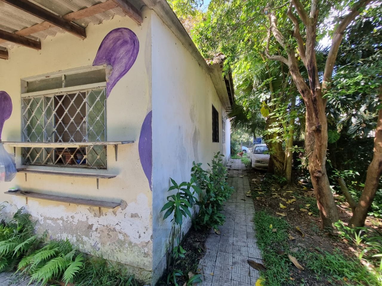 Terreno Plano 435m² Ipanema Proximo Guaíba — foto 6