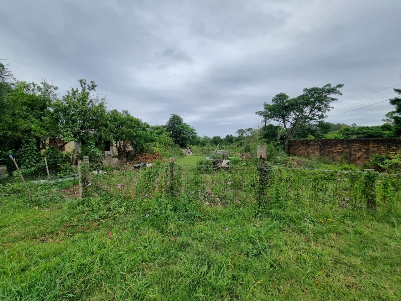 Terreno Estrada Ponta Grossa com 4.500 metros — foto 3