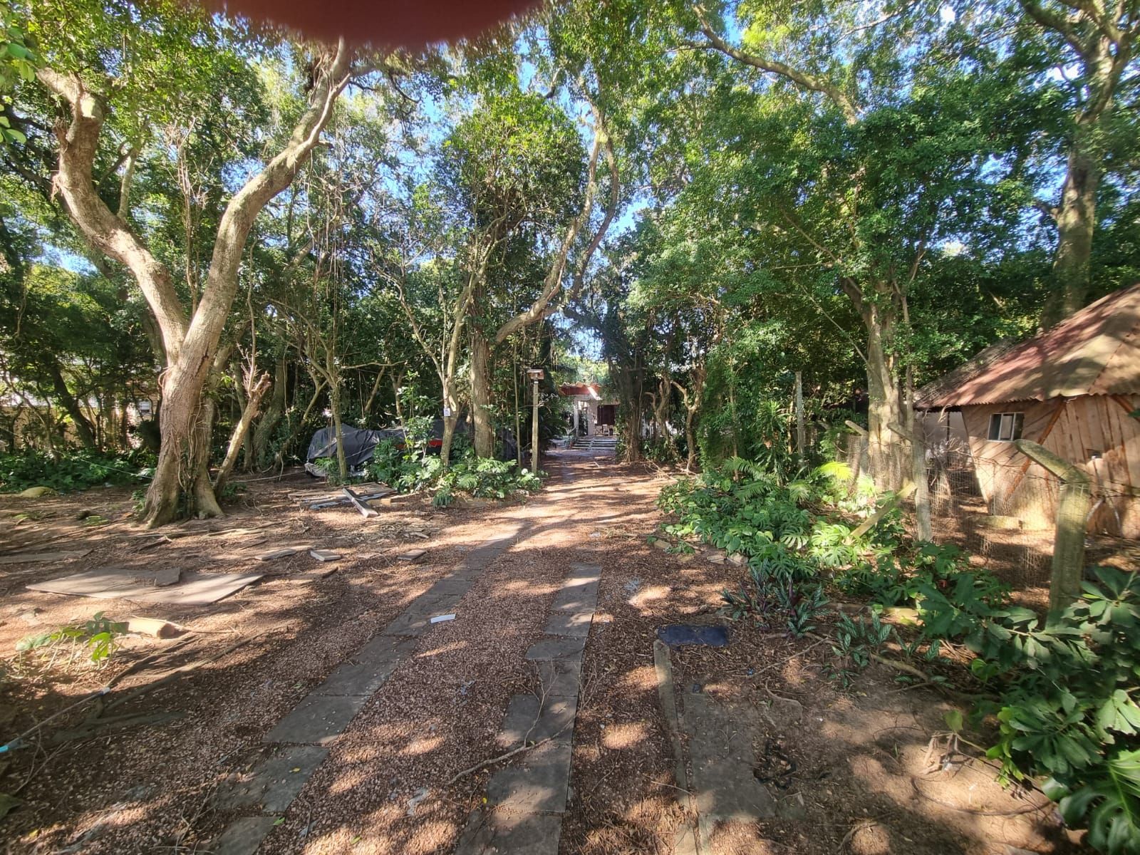 Terreno na Beira de Ipanema com 972m² — foto 3