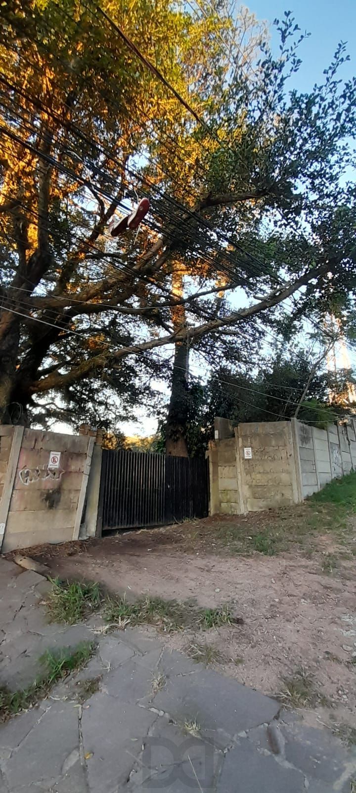 Terreno de barbada — foto 1