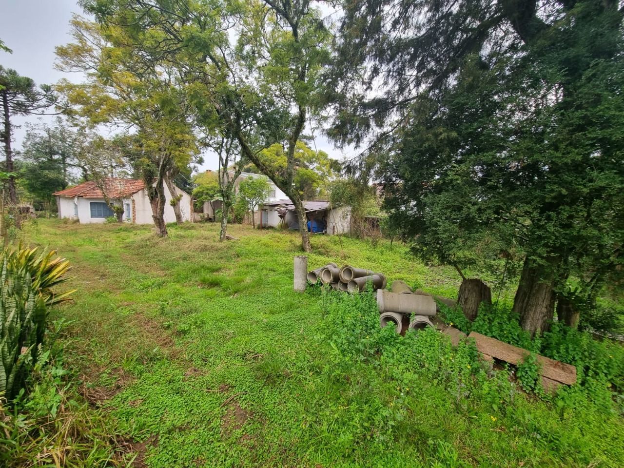 Terreno para Venda - 4.452m Bairro Jardim Isabel — foto 4