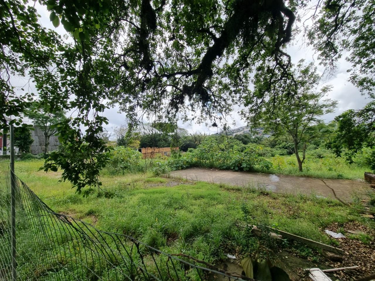 Terreno para Venda - 3778m² Na Avenida Cavalhada — foto 4