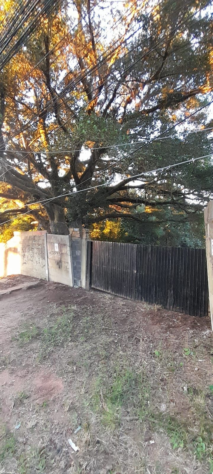 Terreno de barbada — foto 4