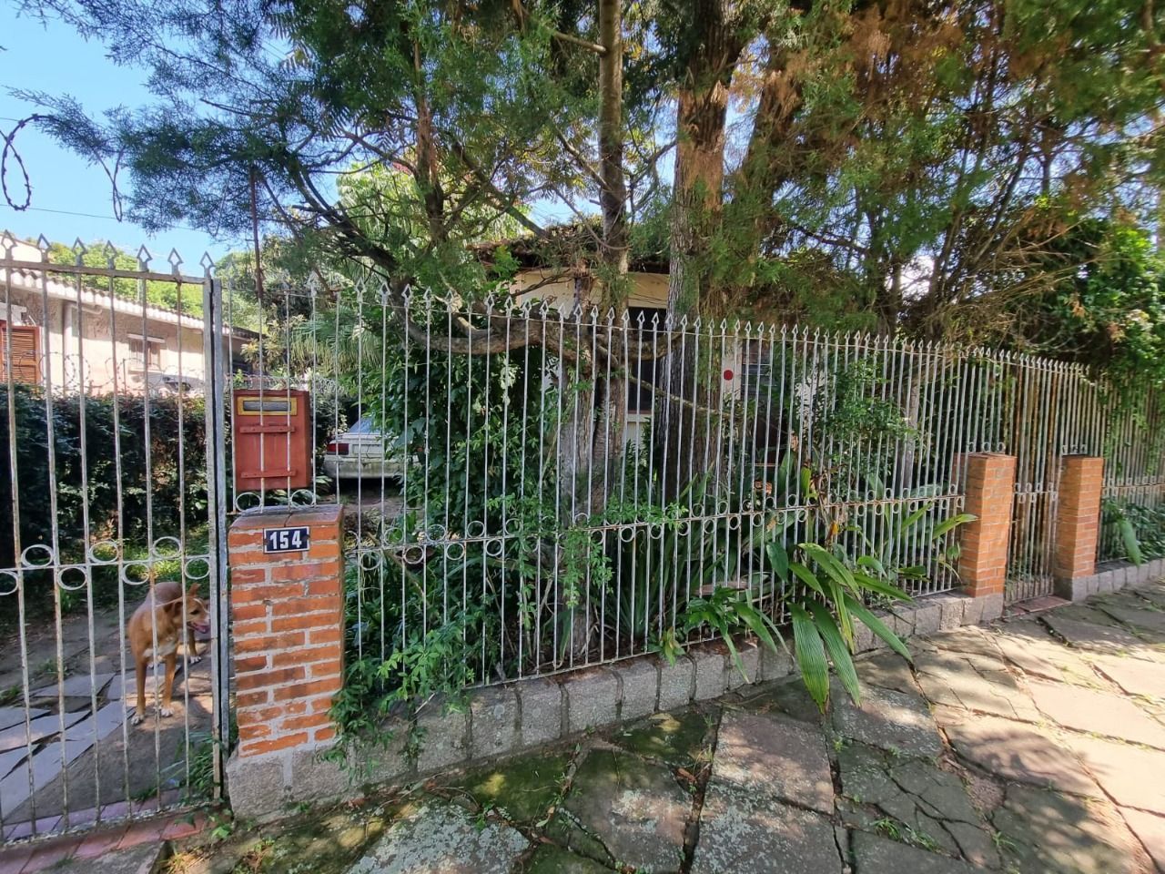 Terreno Plano 435m² Ipanema Proximo Guaíba — foto 2
