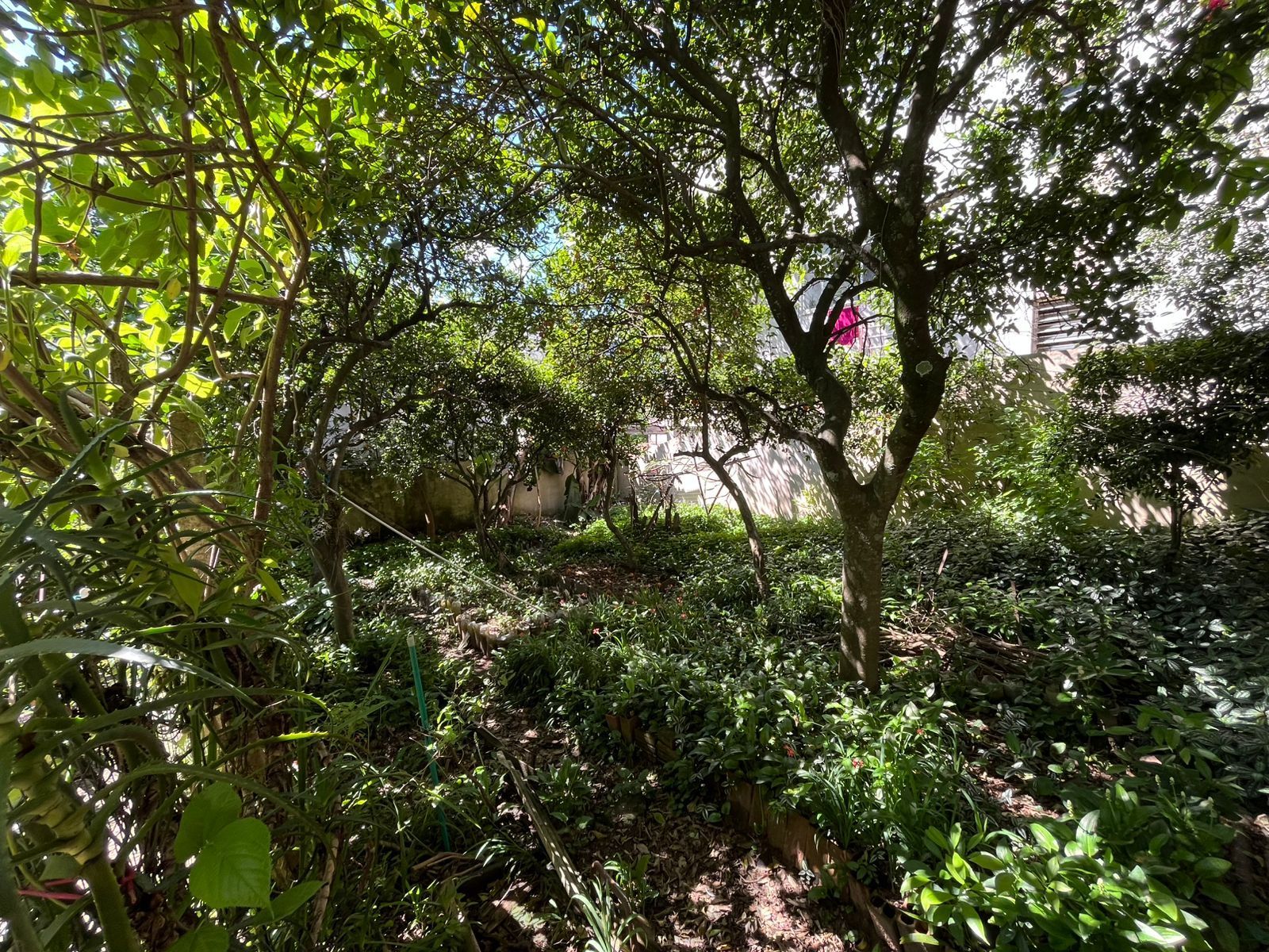 casa a venda no bairro tristeza — foto 37