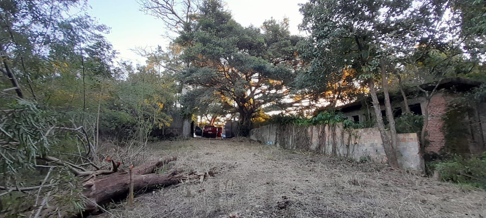 Terreno de barbada — foto 10