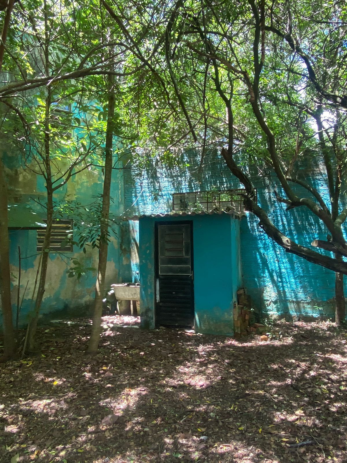 Terreno para Venda - 615m² Bairro Ipanema — foto 14