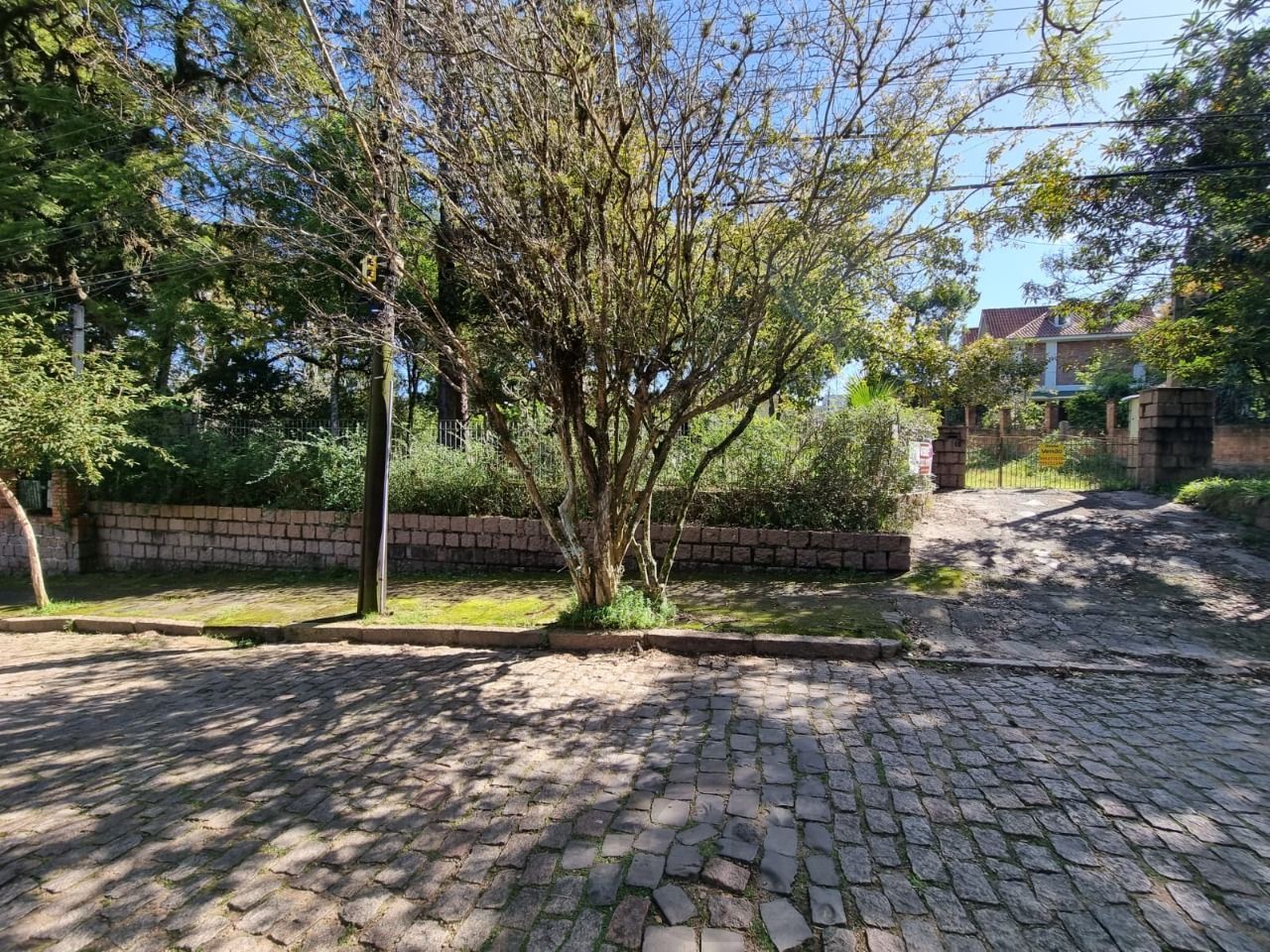 Terreno para Venda - 4.452m Bairro Jardim Isabel — foto 2