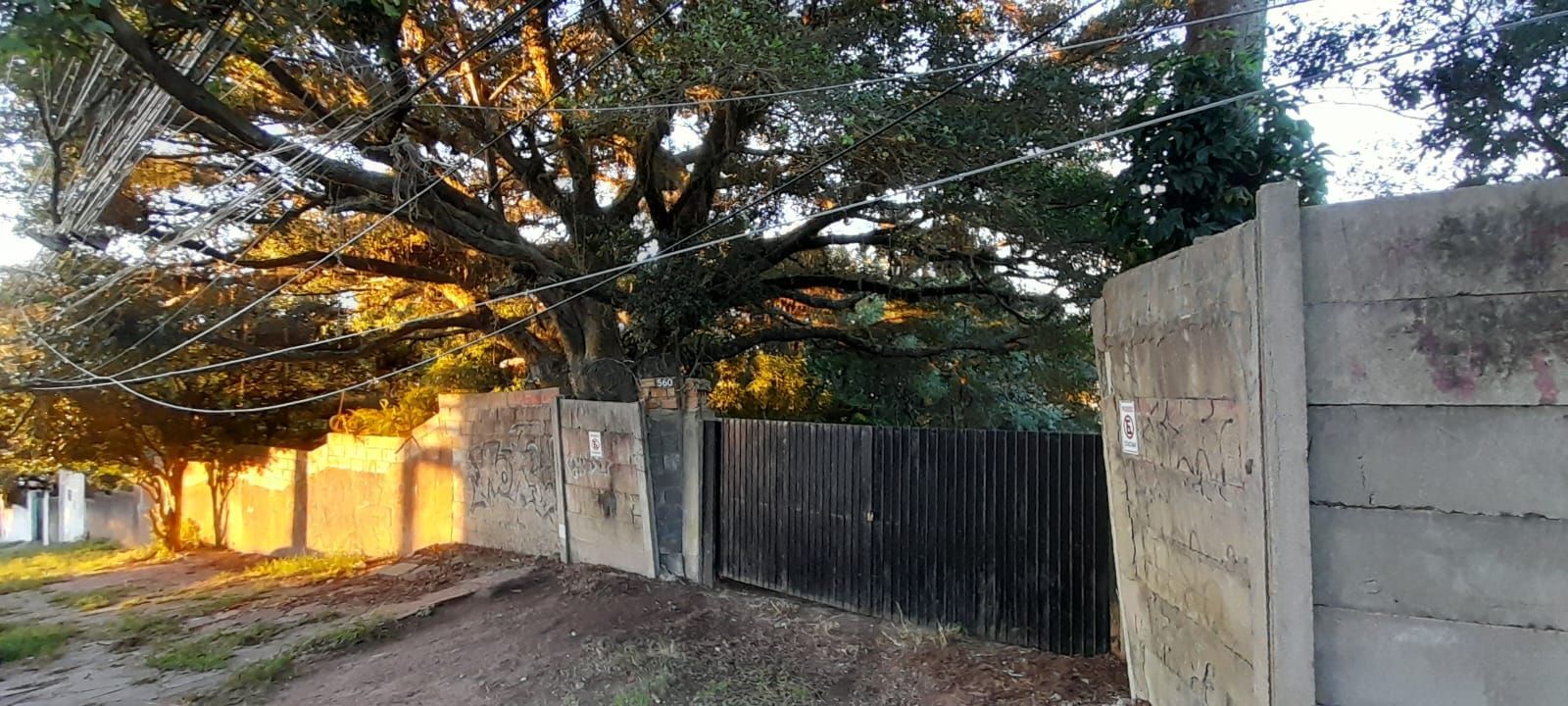 Terreno de barbada — foto 3