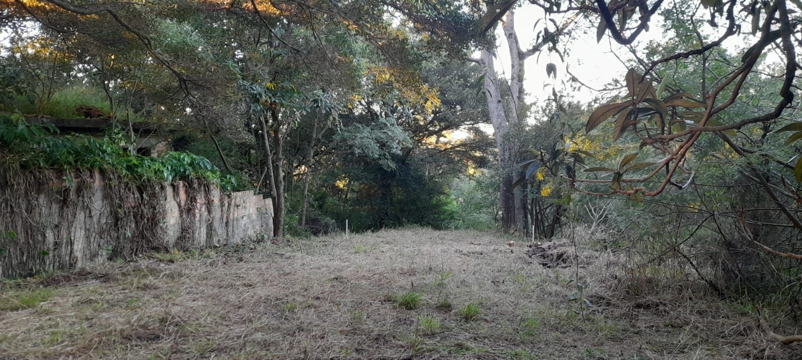 Terreno de barbada — foto 14