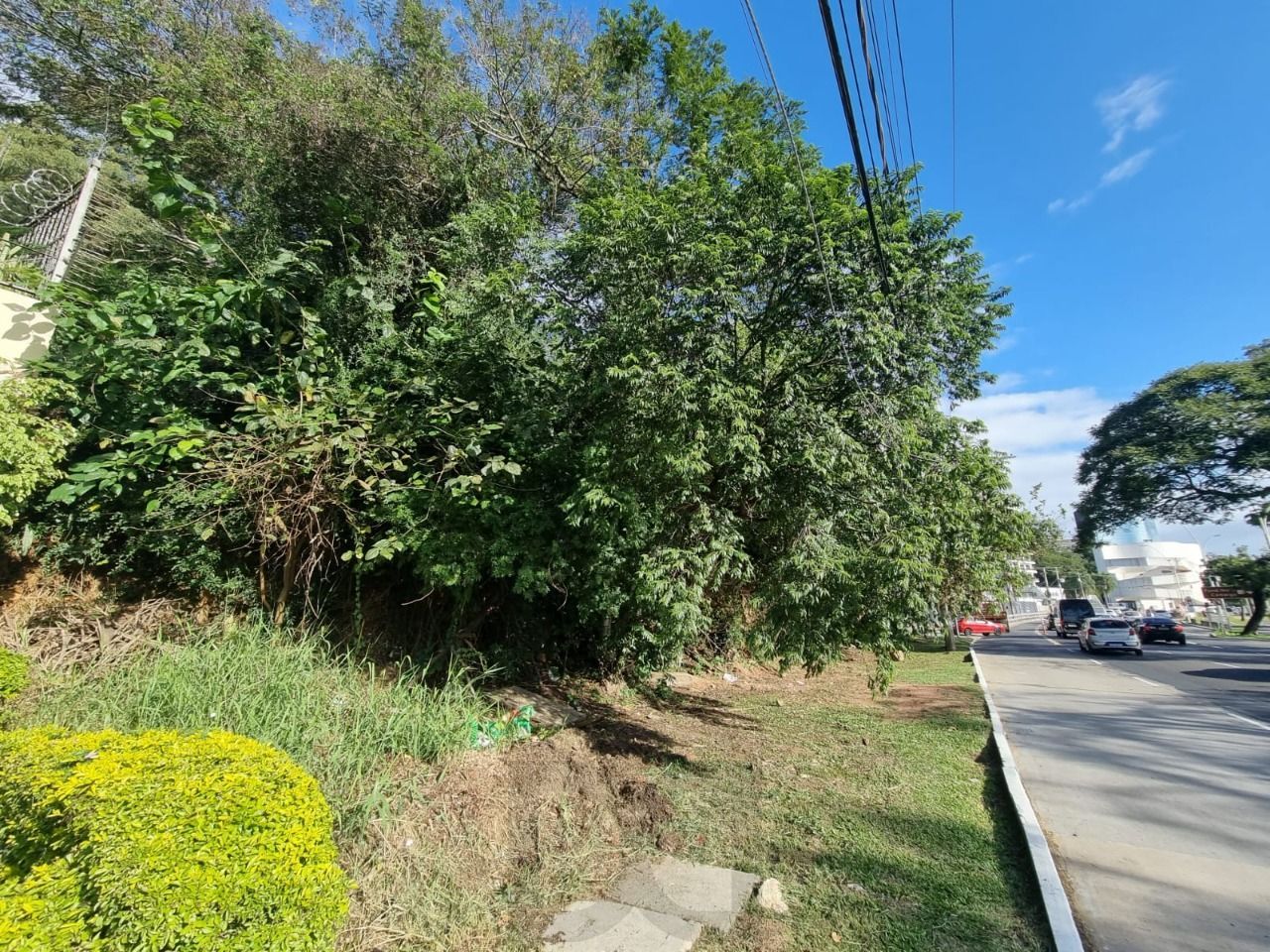 Terreno na av pinheiro borda com vista com 564n² — foto 4