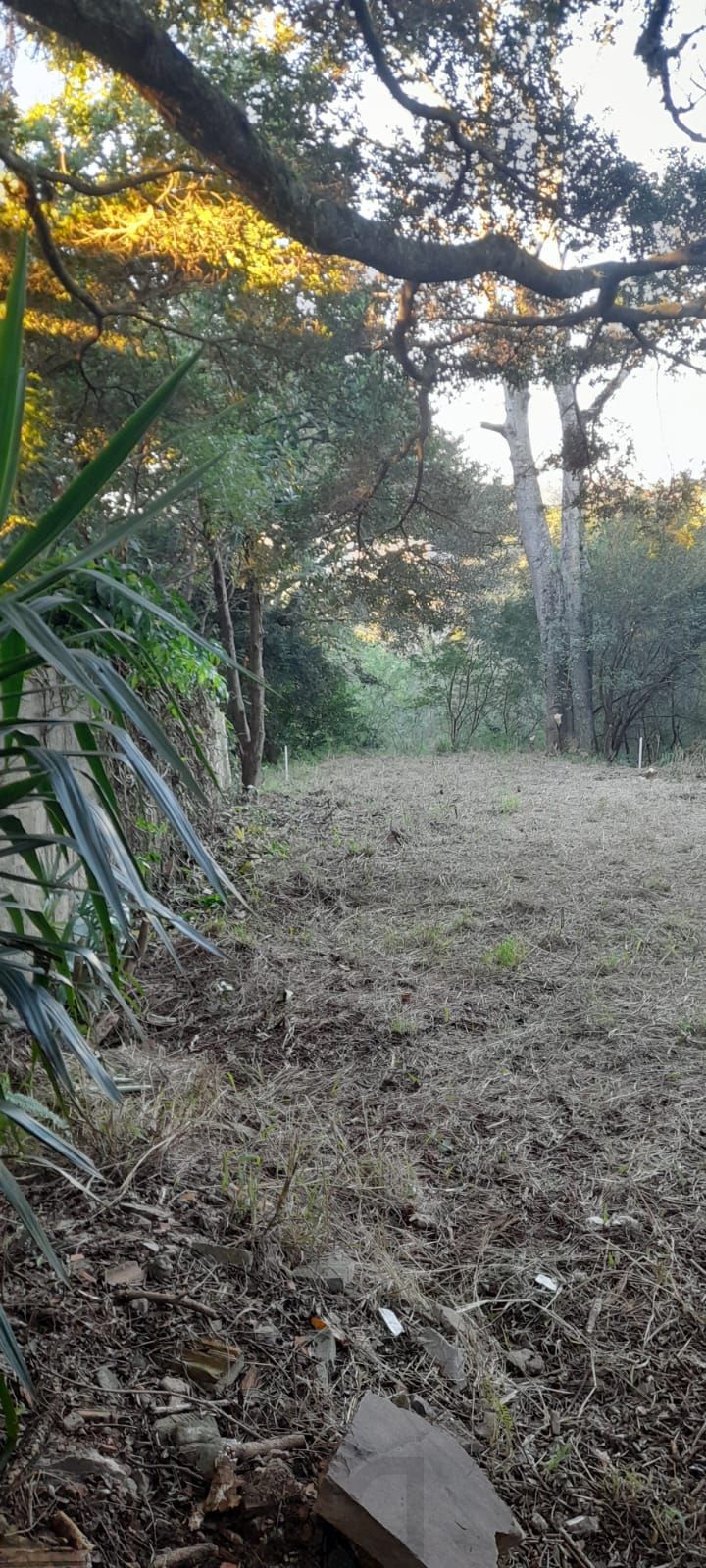 Terreno de barbada — foto 11