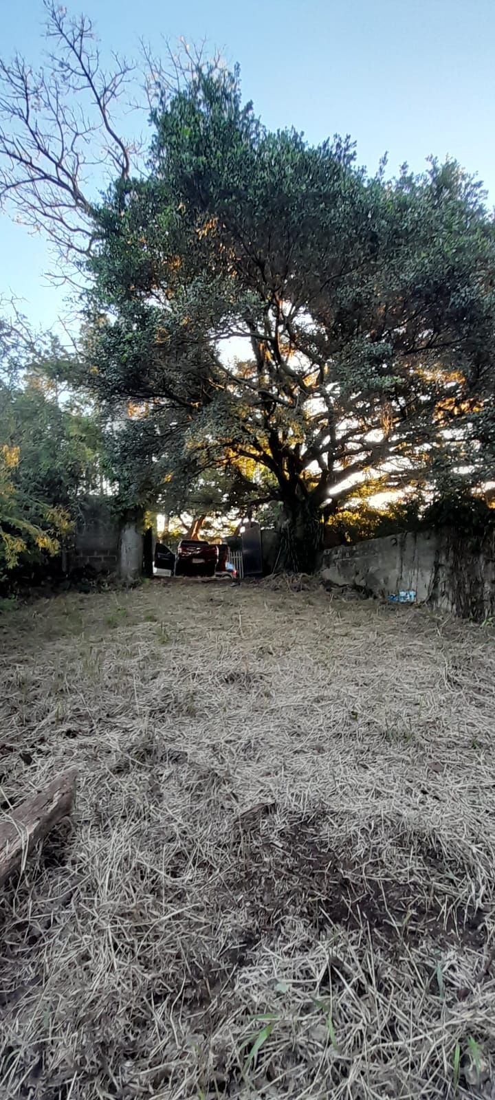 Terreno de barbada — foto 9