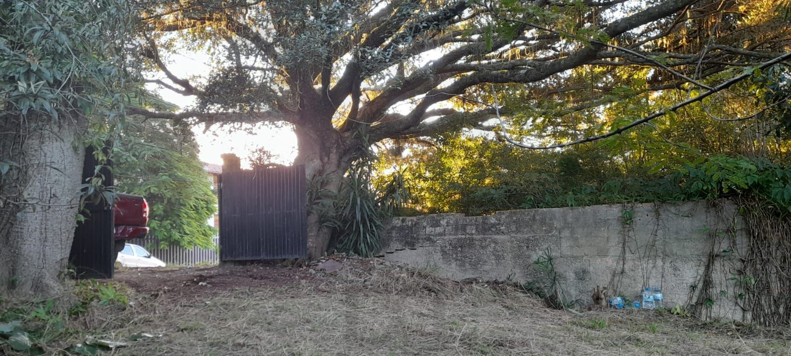 Terreno de barbada — foto 15