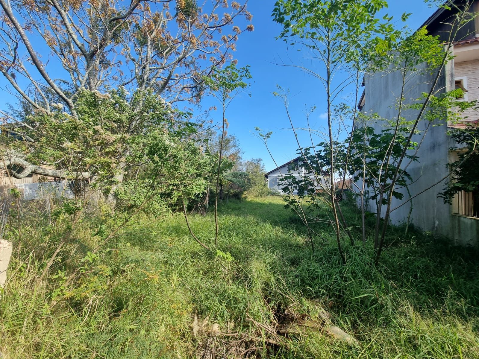 Terreno a venda Bairro Guarujá — foto 6