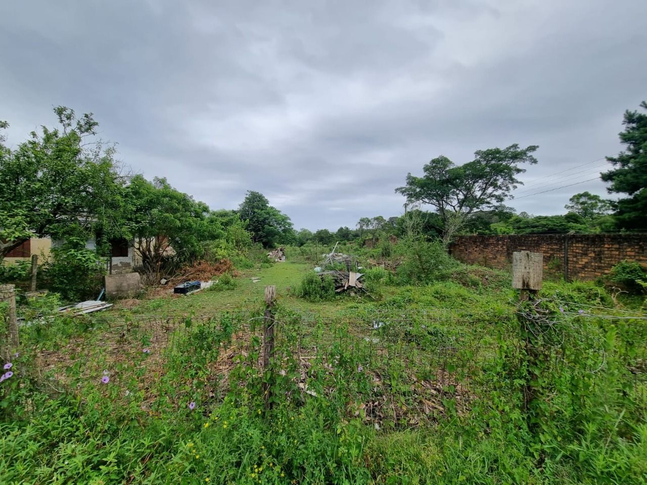 Terreno Estrada Ponta Grossa com 4.500 metros — foto 4