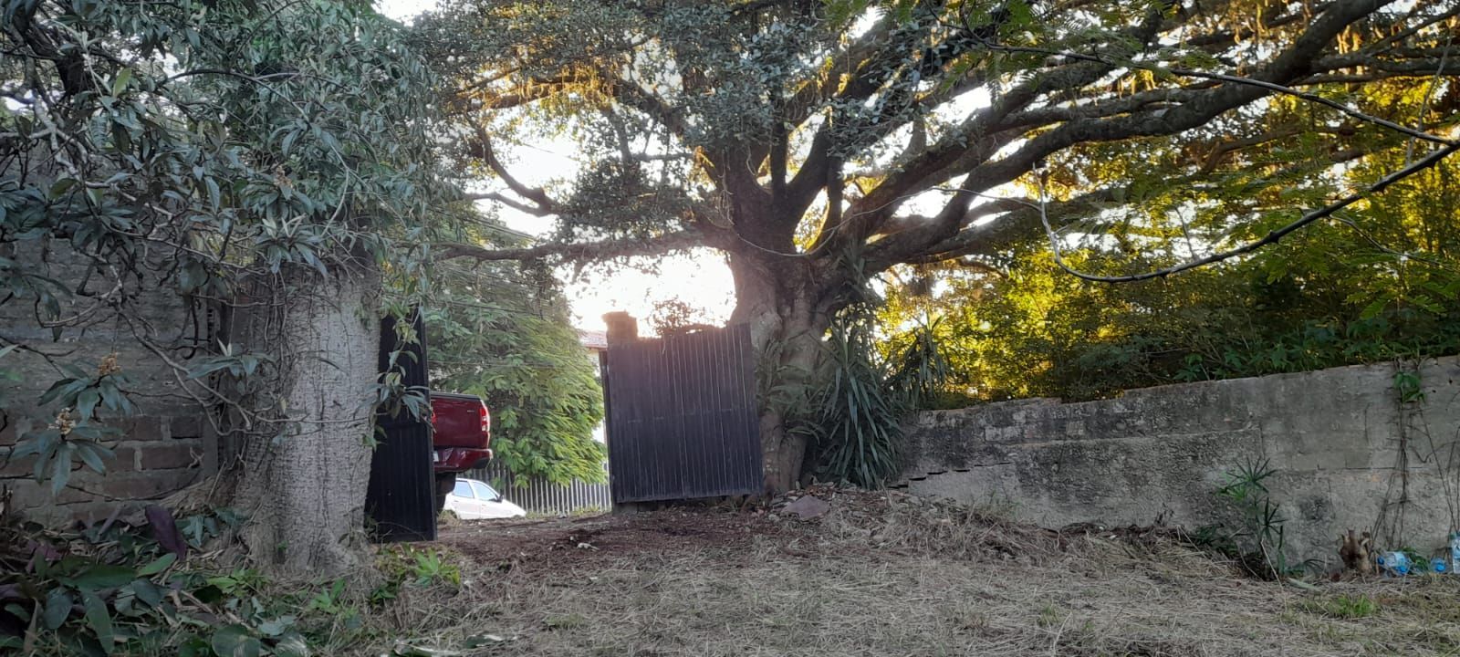 Terreno de barbada — foto 16