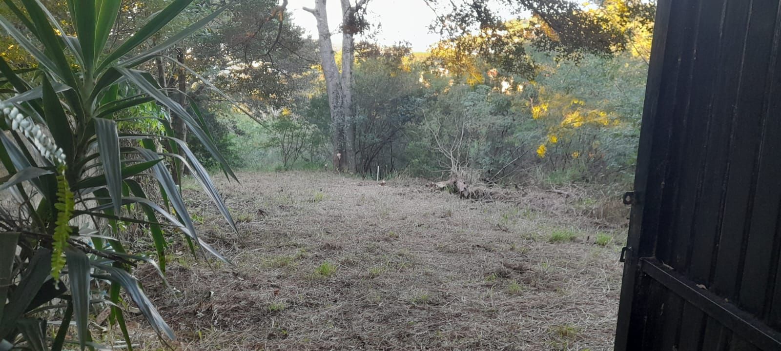 Terreno de barbada — foto 13