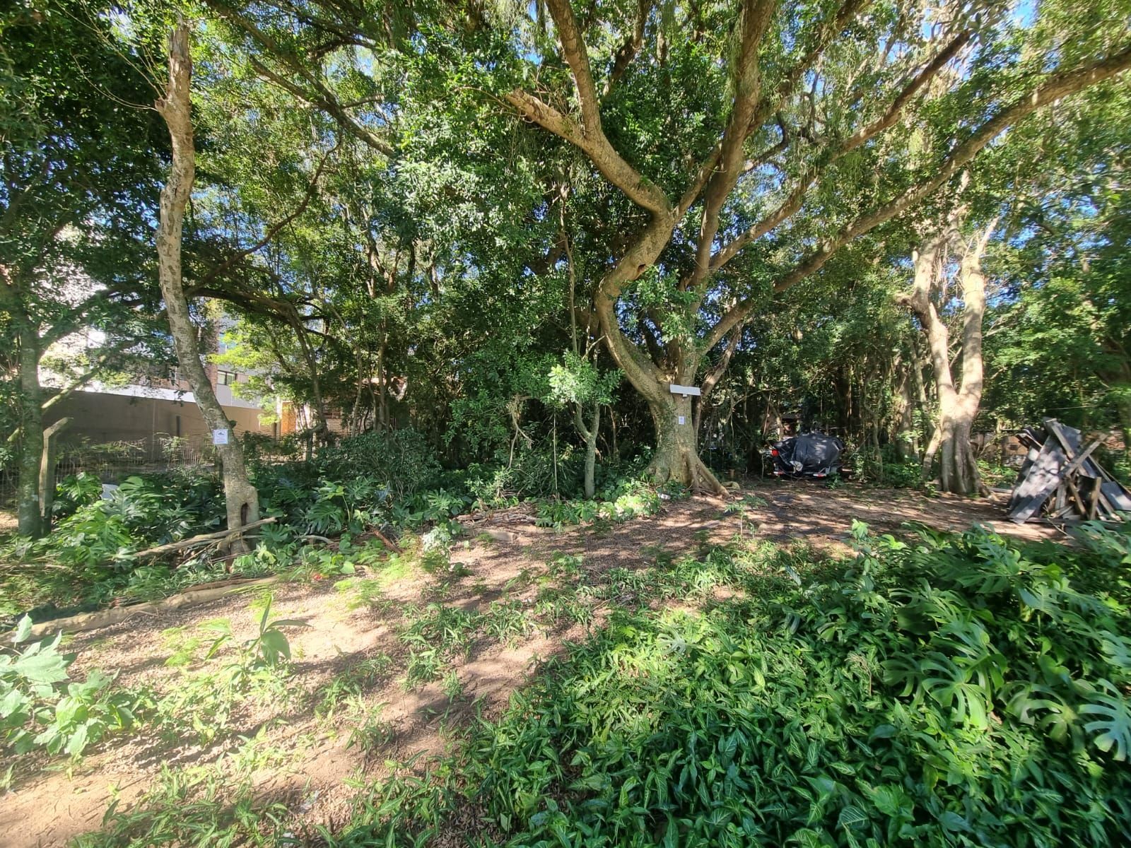 Terreno na Beira de Ipanema com 972m² — foto 11