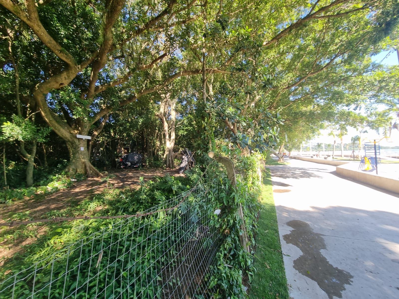 Terreno na Beira de Ipanema com 972m² — foto 9