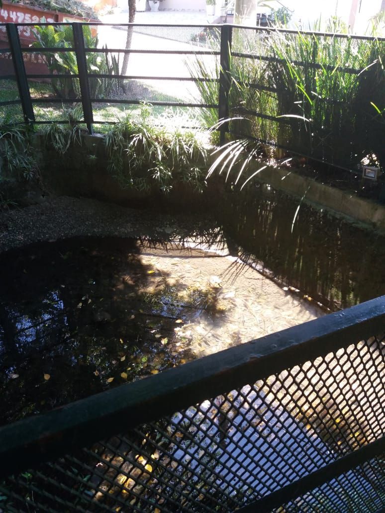 Terreno com 140 m² e Espaço Ideal para Lazer e Área Verde — foto 9