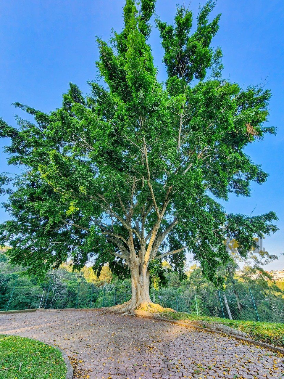 Casa de Fazenda com 1.318m² — foto 23