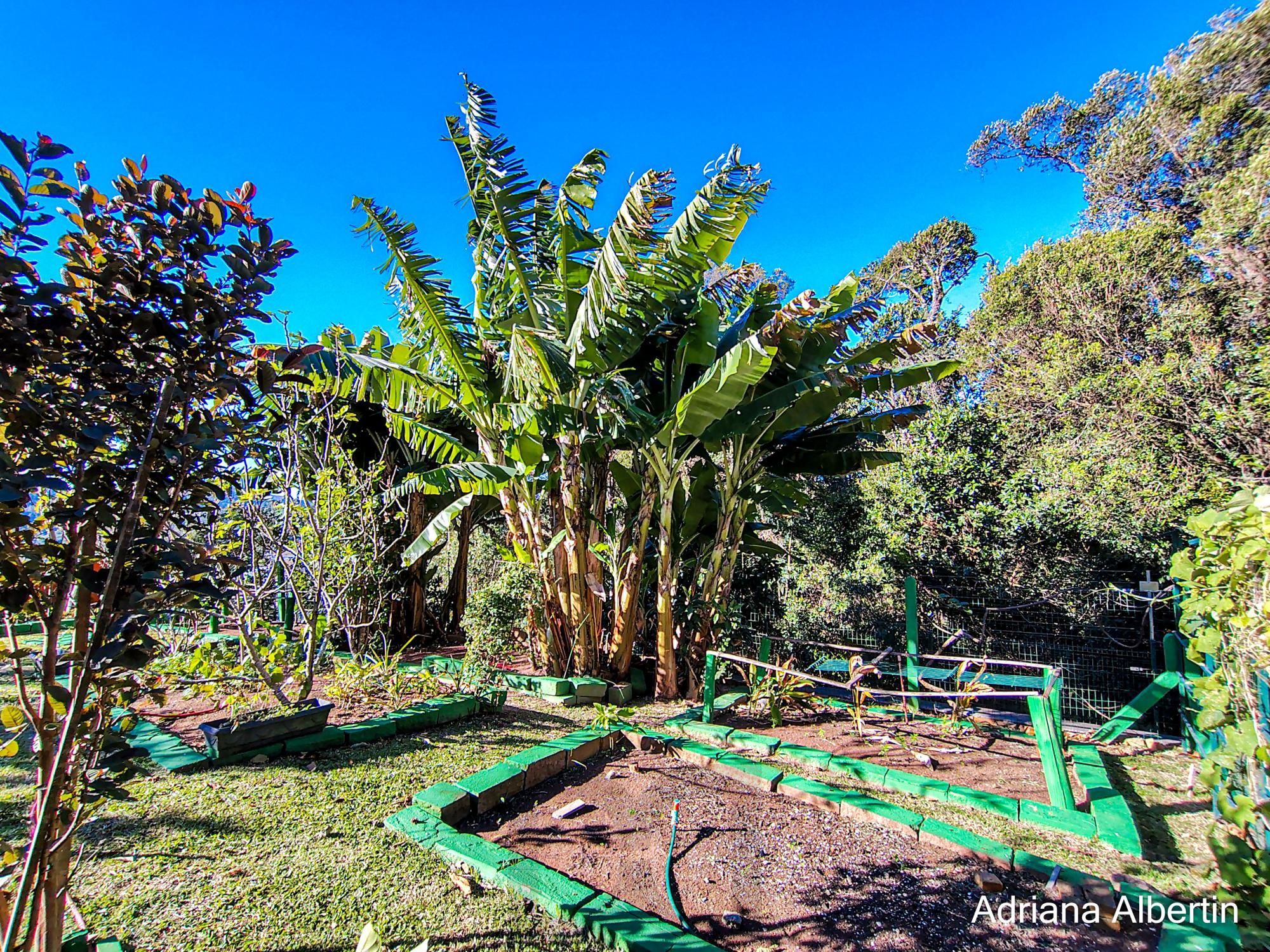 Casa estilo sítio no Alphaville Porto Alegre | Lago com carpas, pomar e vista permanente para o verde — foto 78
