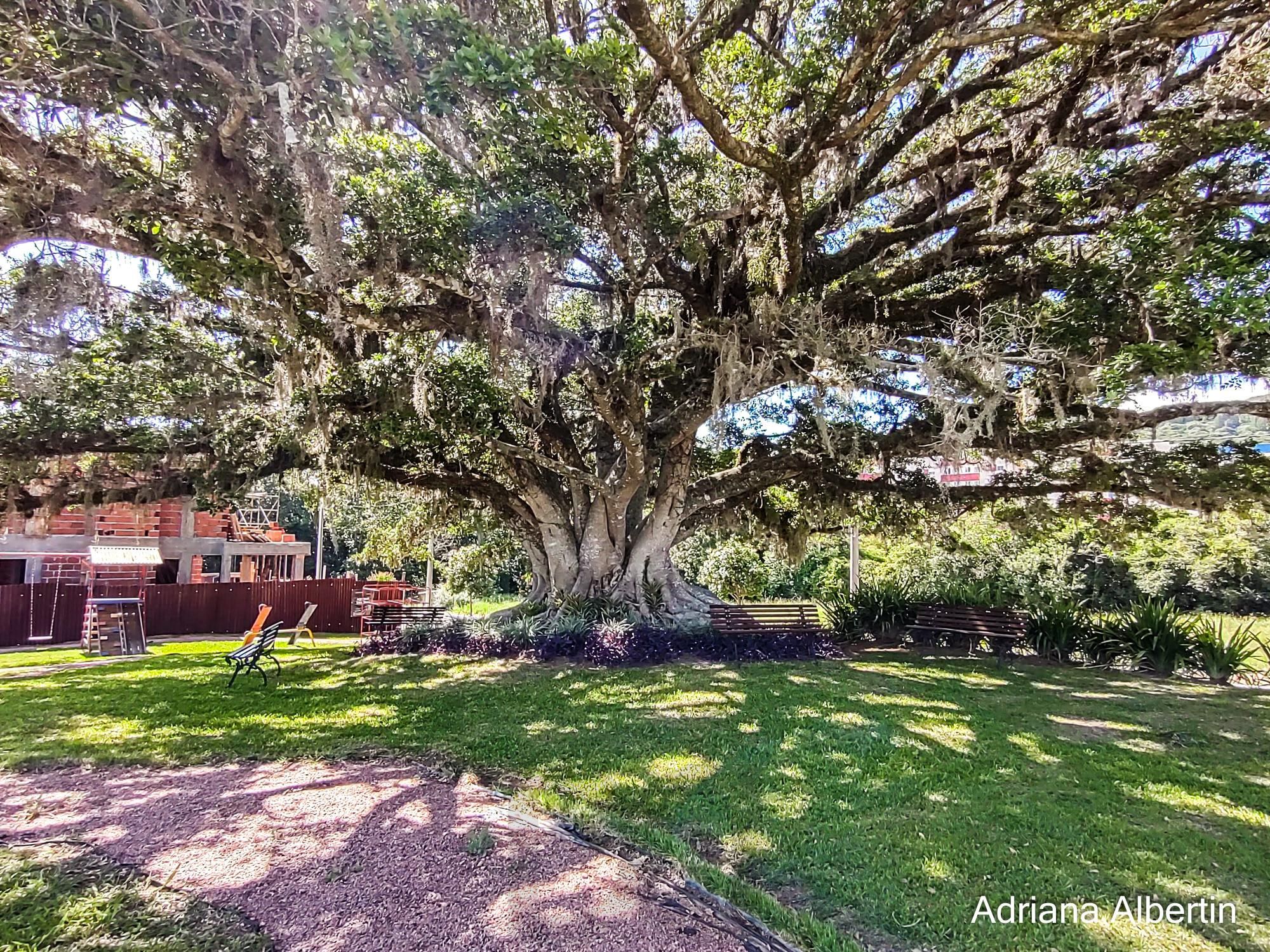 Casa térrea com 100m² privativo, em condomínio fechado na Estrada Jorge Pereira Nunes — foto 31