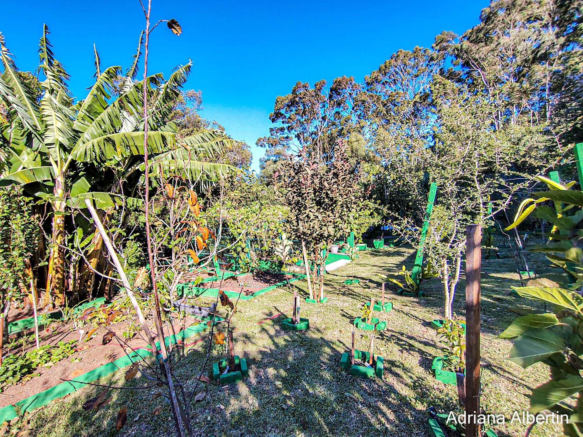 Casa estilo sítio no Alphaville Porto Alegre | Lago com carpas, pomar e vista permanente para o verde — foto 72
