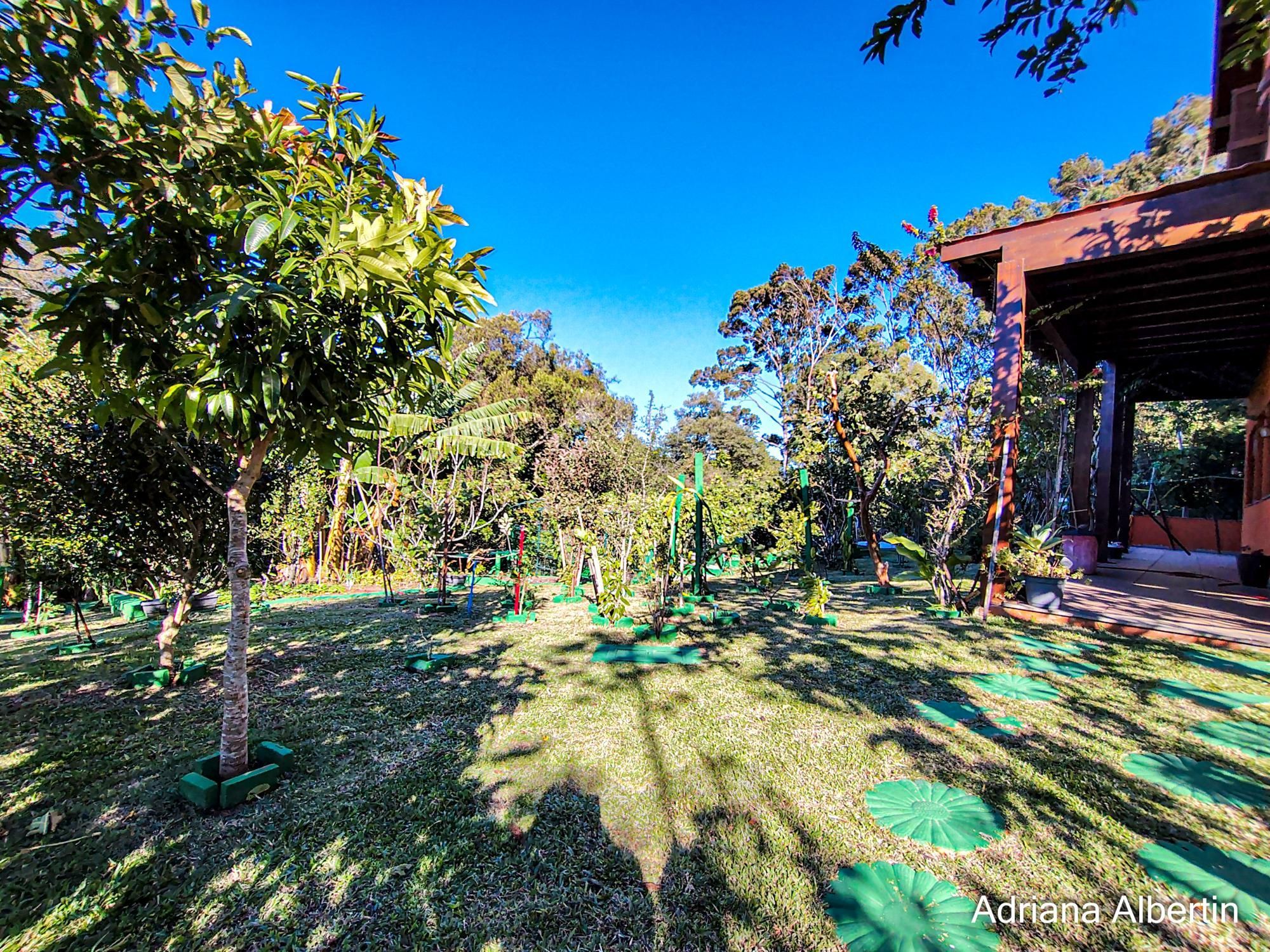 Casa estilo sítio no Alphaville Porto Alegre | Lago com carpas, pomar e vista permanente para o verde — foto 71