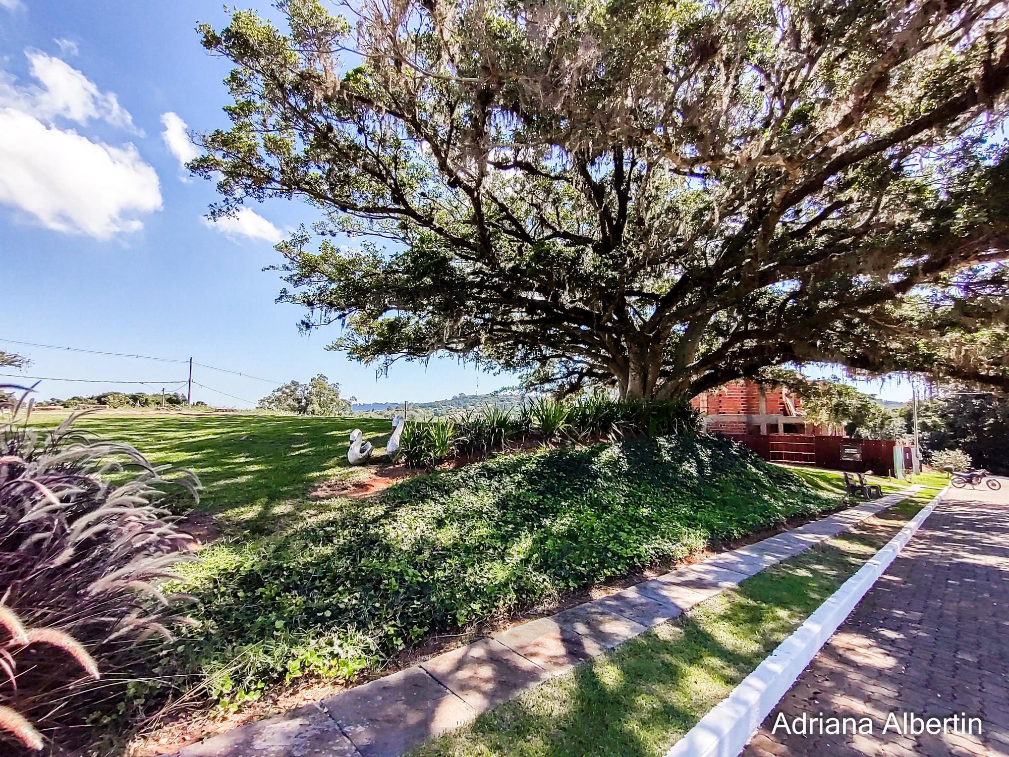 Casa térrea com 100m² privativo, em condomínio fechado na Estrada Jorge Pereira Nunes — foto 34