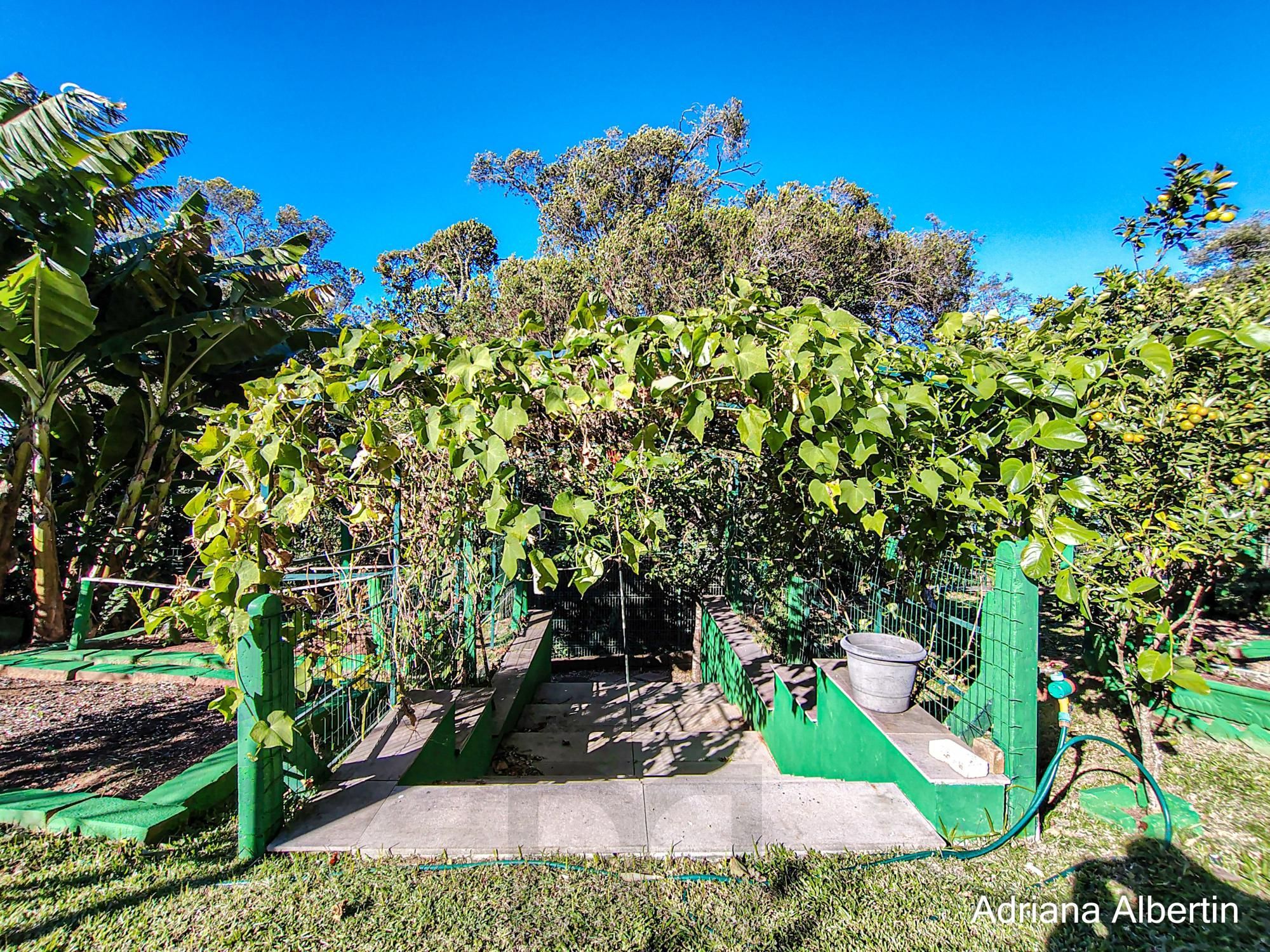 Casa estilo sítio no Alphaville Porto Alegre | Lago com carpas, pomar e vista permanente para o verde — foto 77
