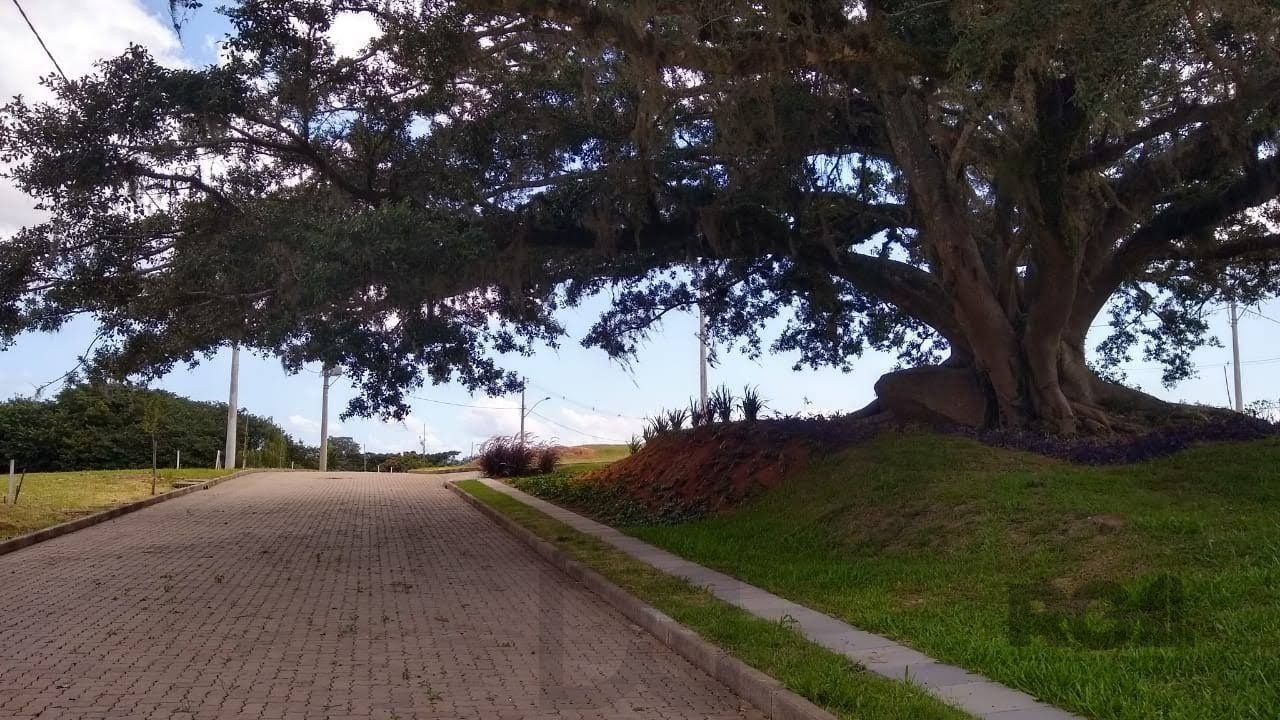  — foto 12