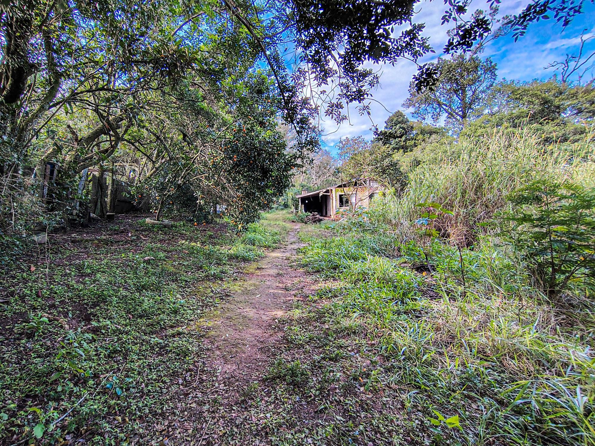 Lote com 3.033m² - Campo Novo — foto 3