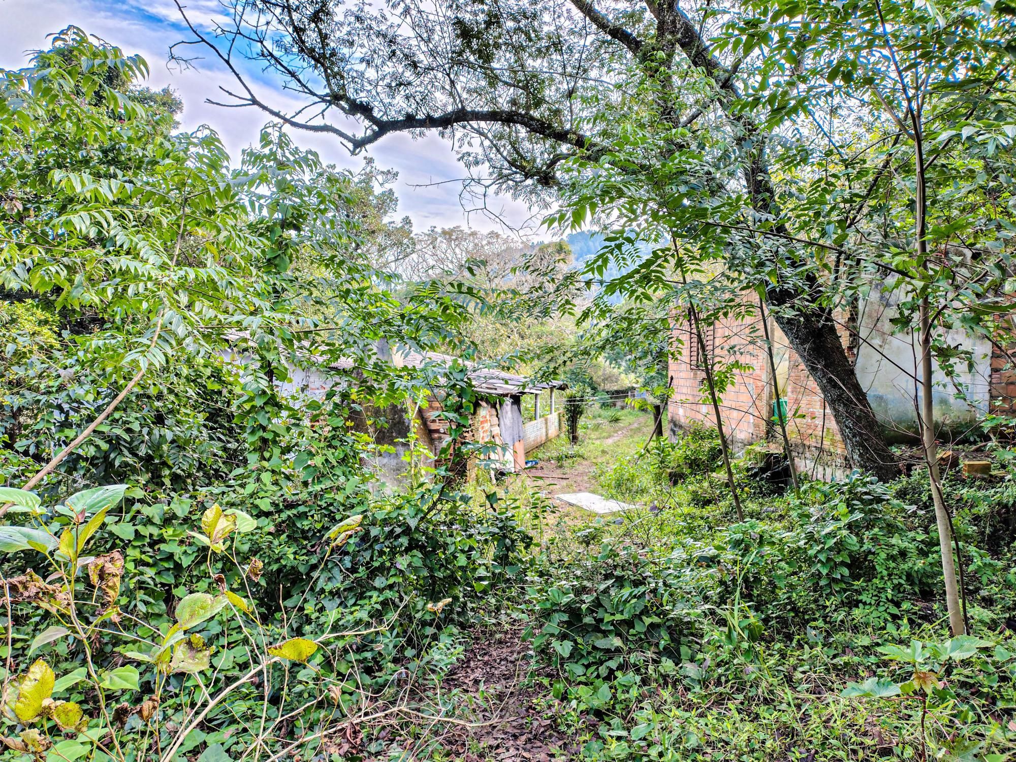 Lote com 3.033m² - Campo Novo — foto 4