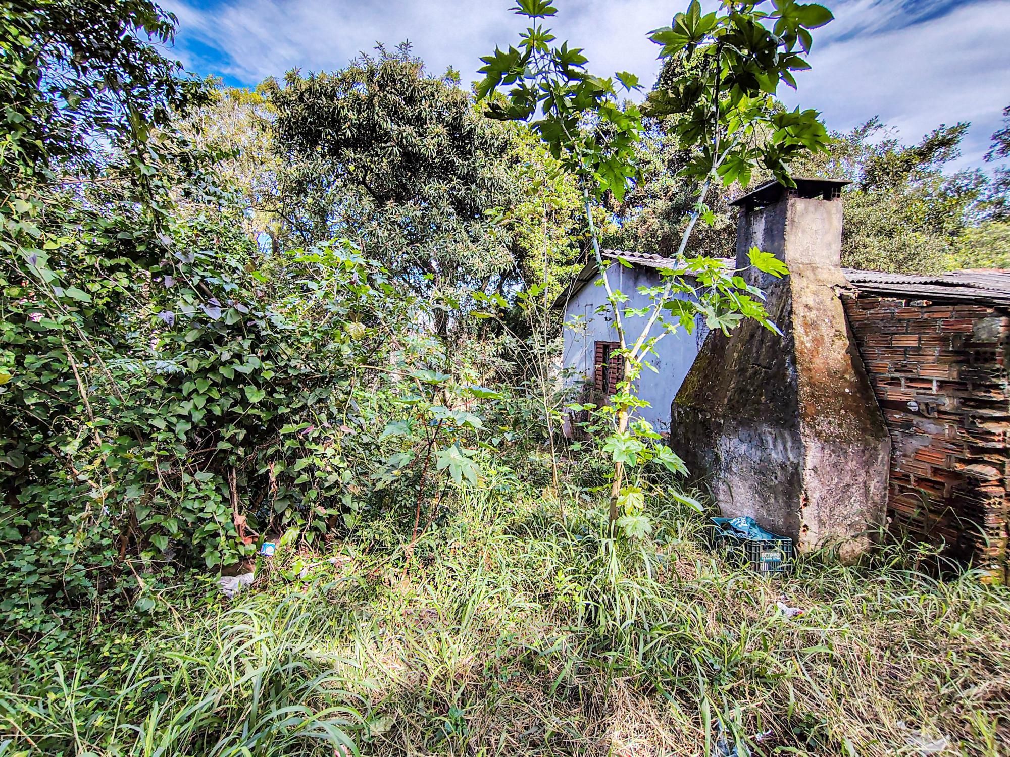 Lote com 3.033m² - Campo Novo — foto 5