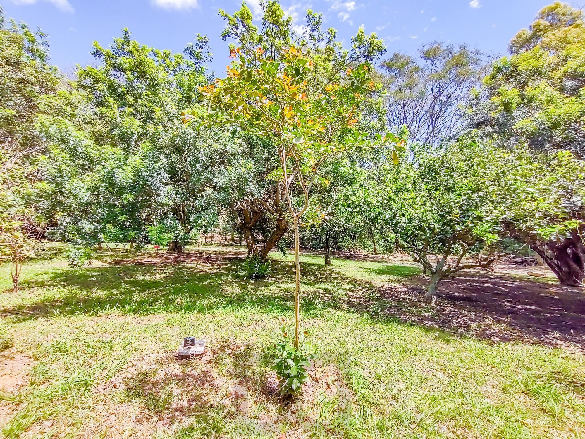 LOTE PLANO COM 122M² — foto 17