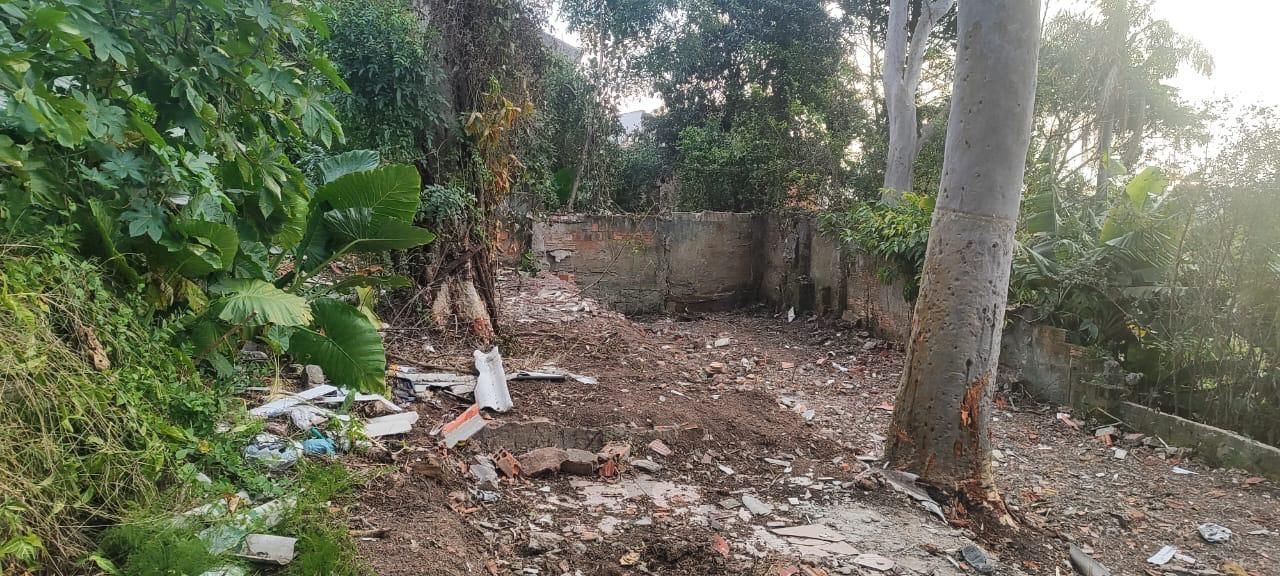 TERRENO AMPLO EM POSIÇÃO ALTA NO NONOAI – 455m² — foto 3