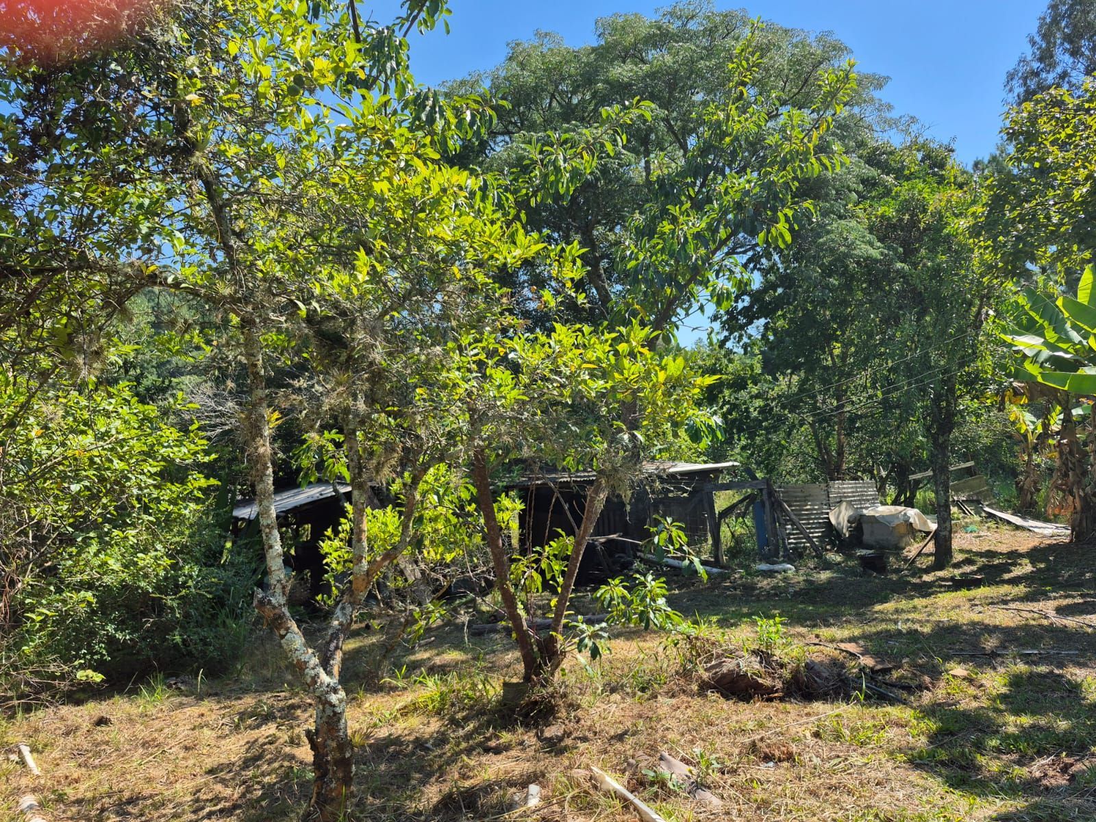 Sítio com casa de 3 dormitórios e 3.000m² à venda no Canta Galo em Porto Alegre — foto 27