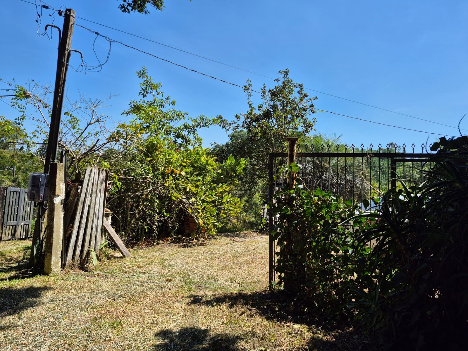 Sítio com casa de 3 dormitórios e 3.000m² à venda no Canta Galo em Porto Alegre — foto 22