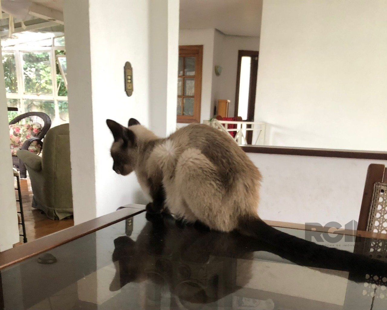  — foto 6