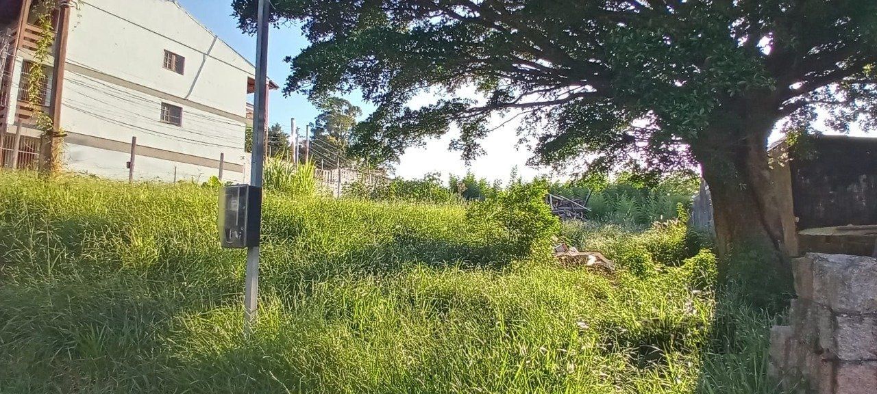 Terreno no Bairro Nonoai com 2.468,40m² — foto 6