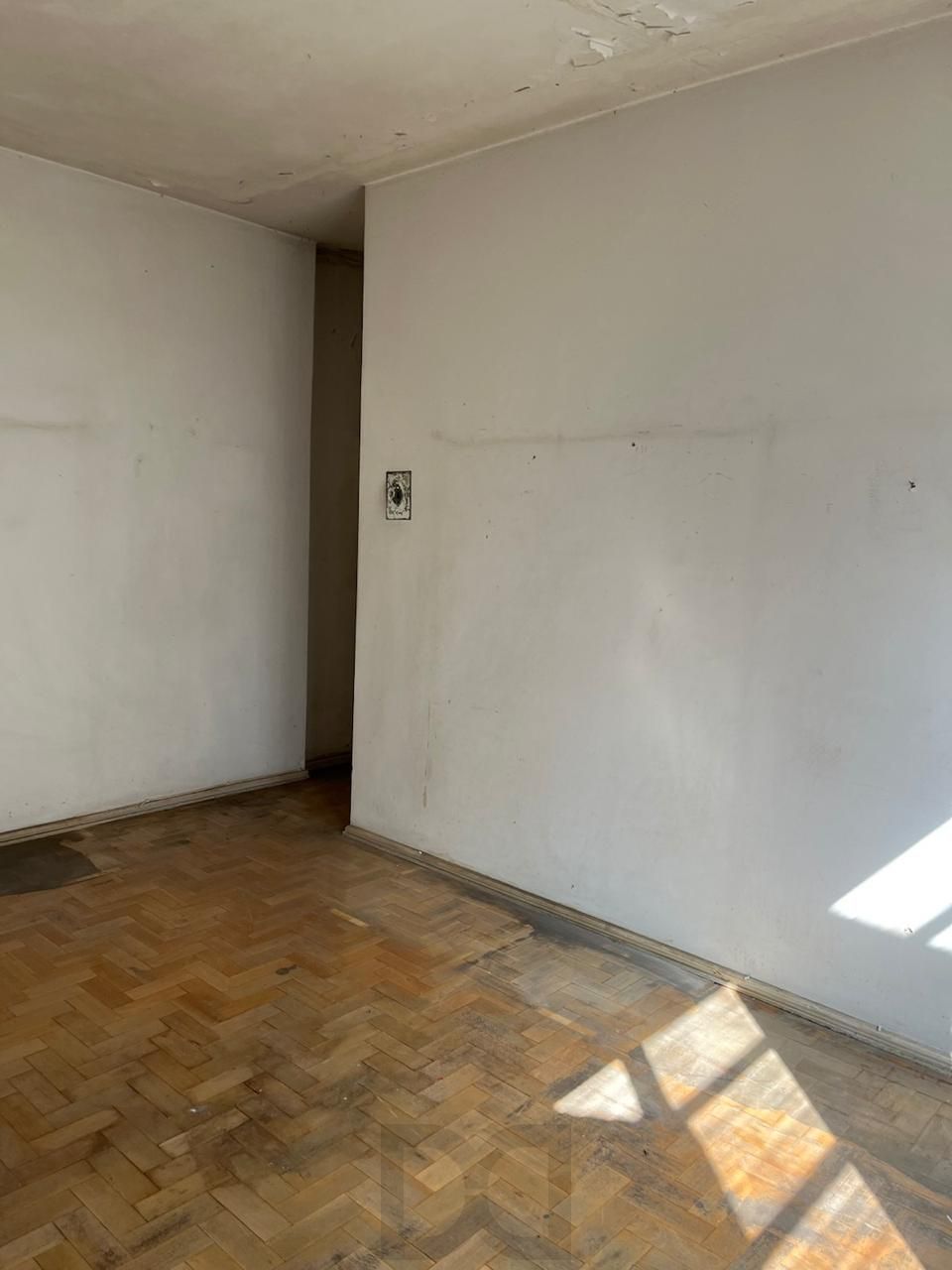 — foto 11