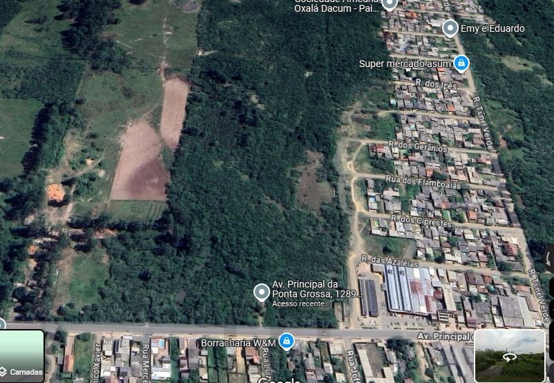 Terreno no Bairro Ponta Grossa com 17 Hectares — foto 1