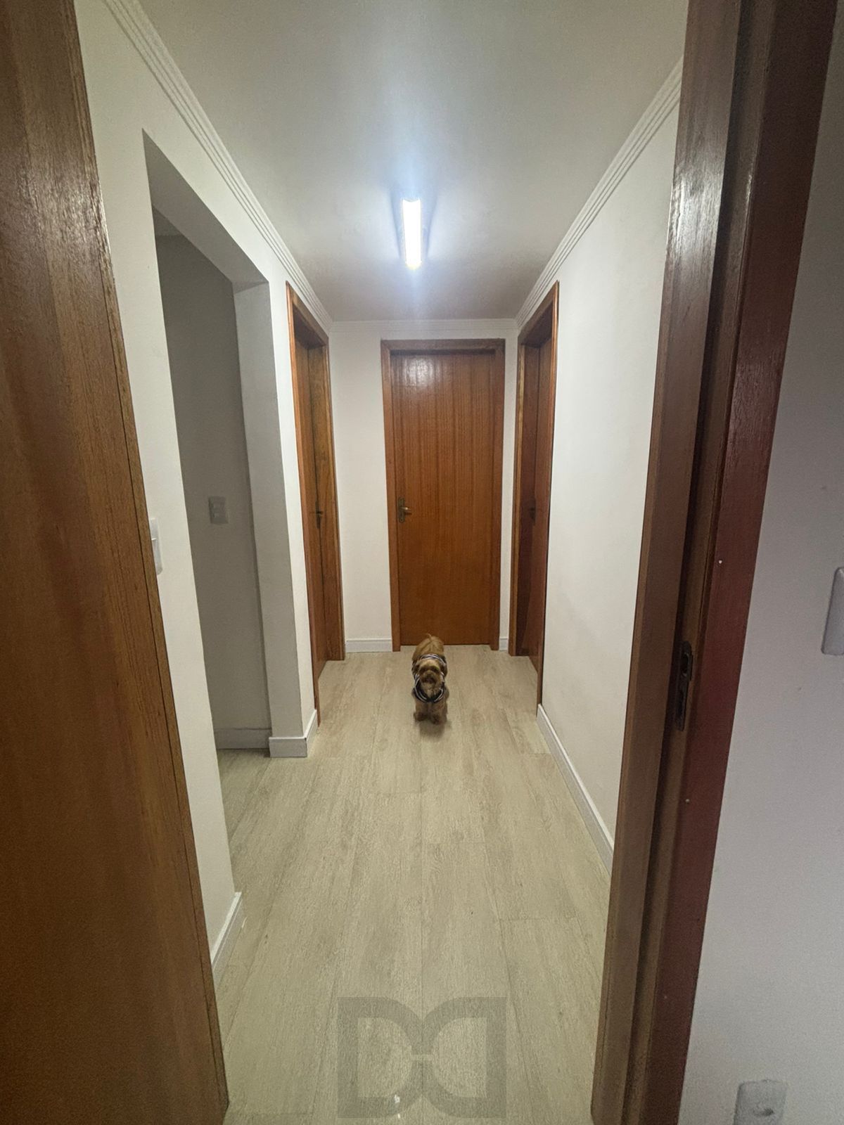 Casa com 03 quartos (01 suíte), 02 vagas, no Bairro Vila Conceição — foto 13